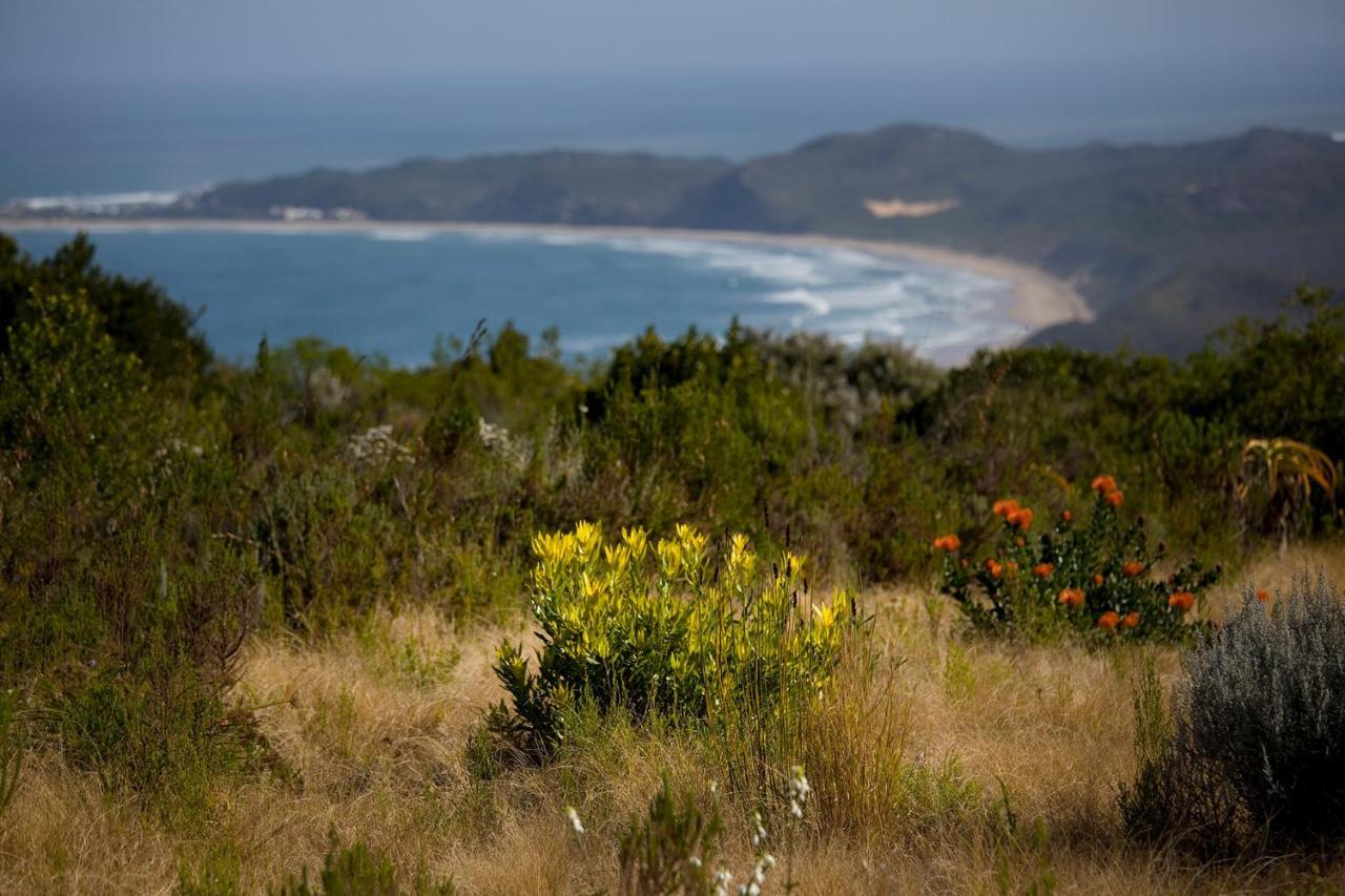 Alkira Lodge Brenton-on-Sea Zewnętrze zdjęcie