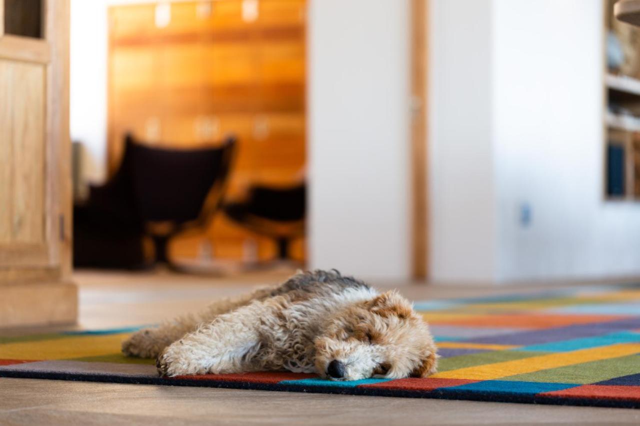 Alkira Lodge Brenton-on-Sea Zewnętrze zdjęcie